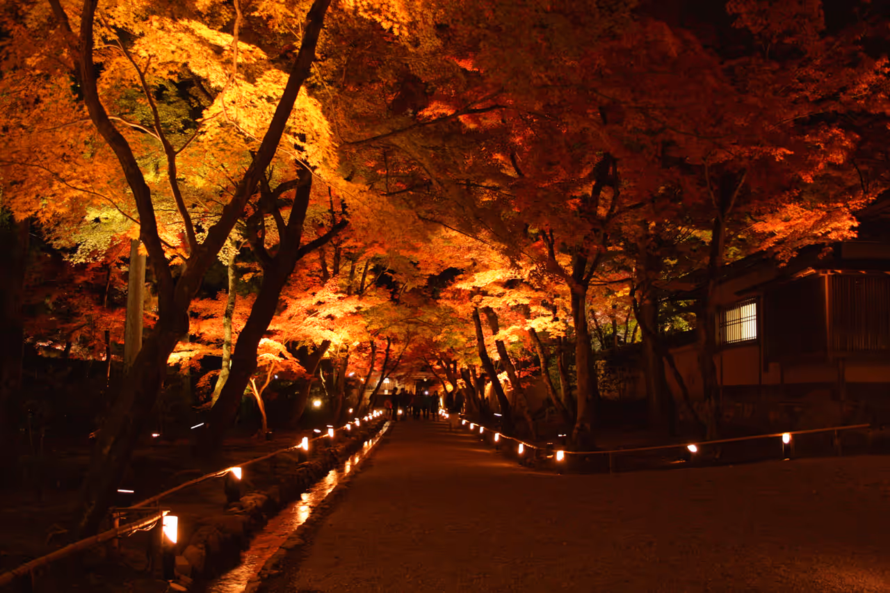 An approach to Hogon-in Temple in Kyoto