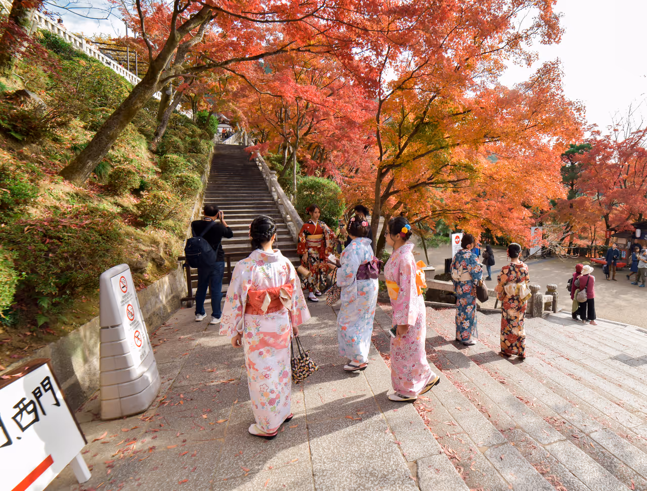 View in kyoto, showing stairs, people and a tree