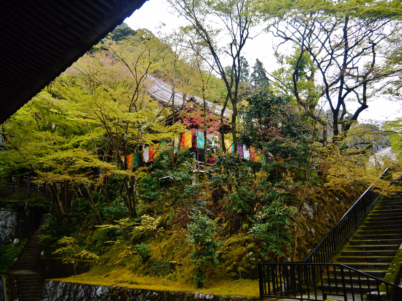 The eastern canal trail cycling in Kyoto