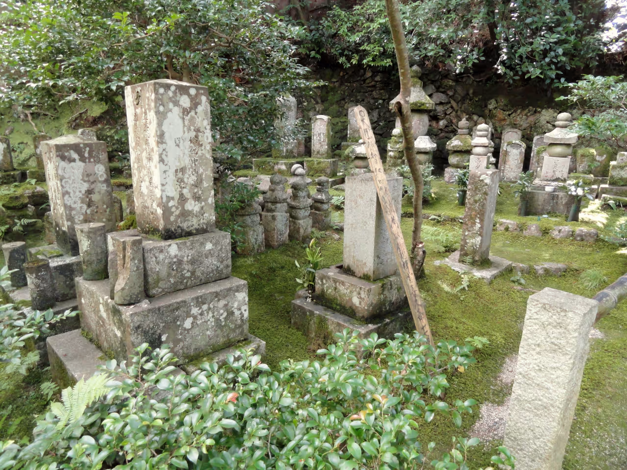 Gio-ji temple in Kyoto