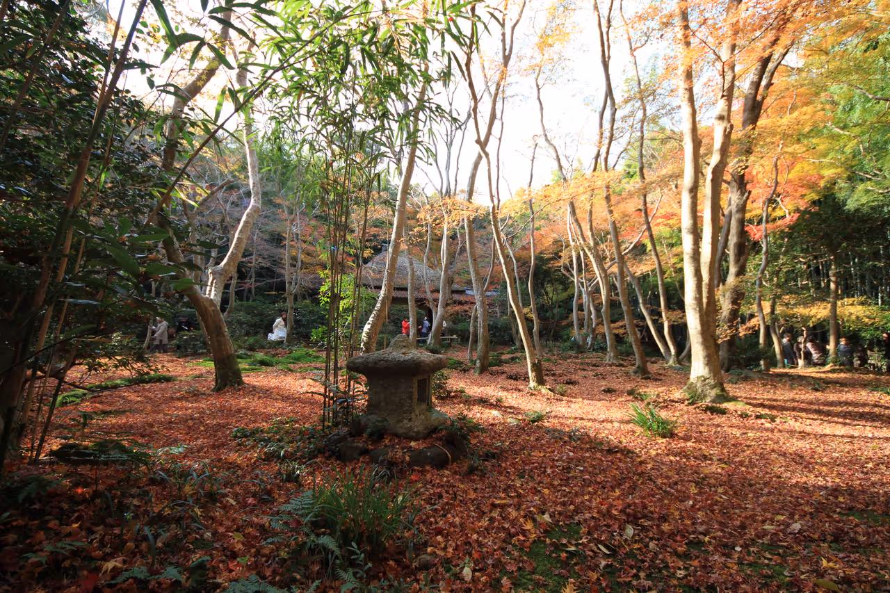 Gio-ji temple in Kyoto