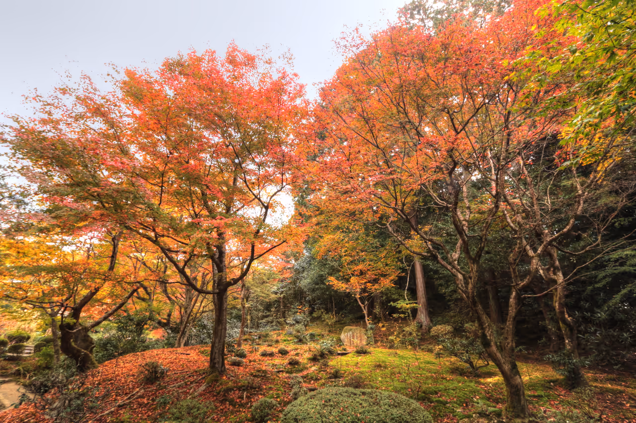Shisen-do temple in Kyoto