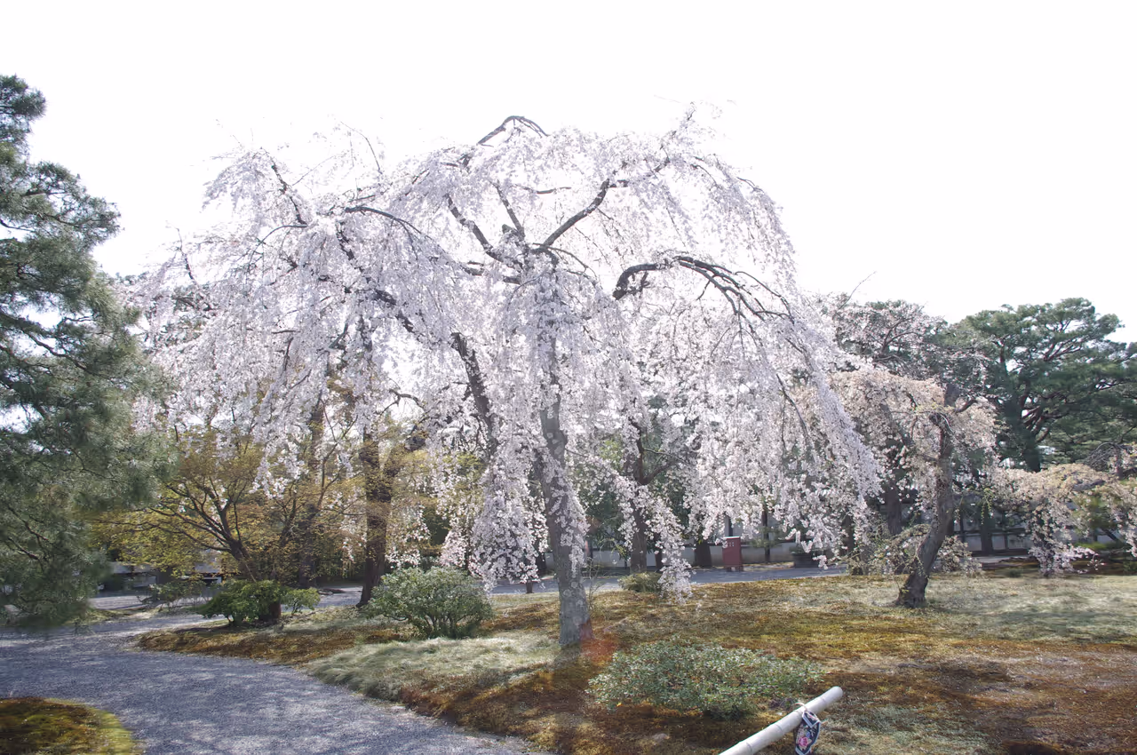 Imperial palace in Kyoto
