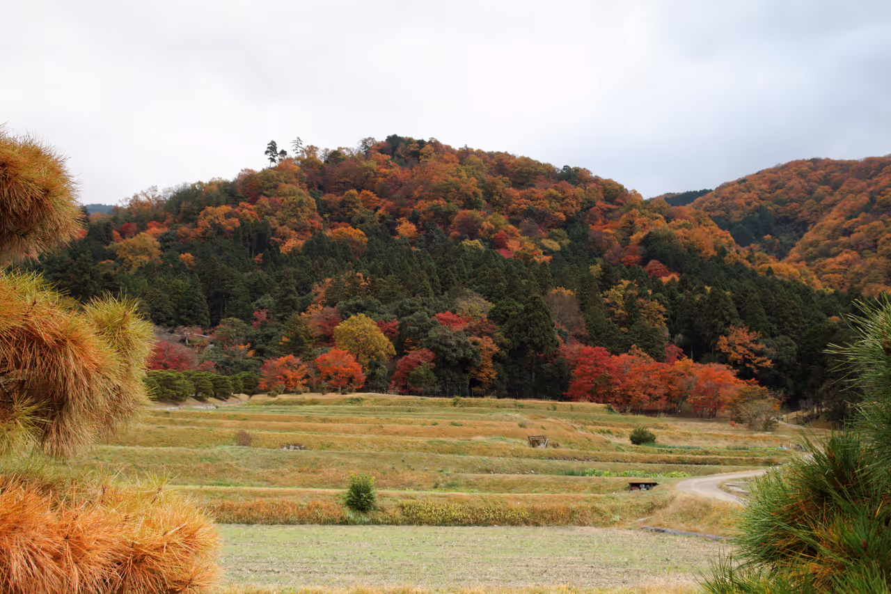 Shugakuin imperial villa in Kyoto