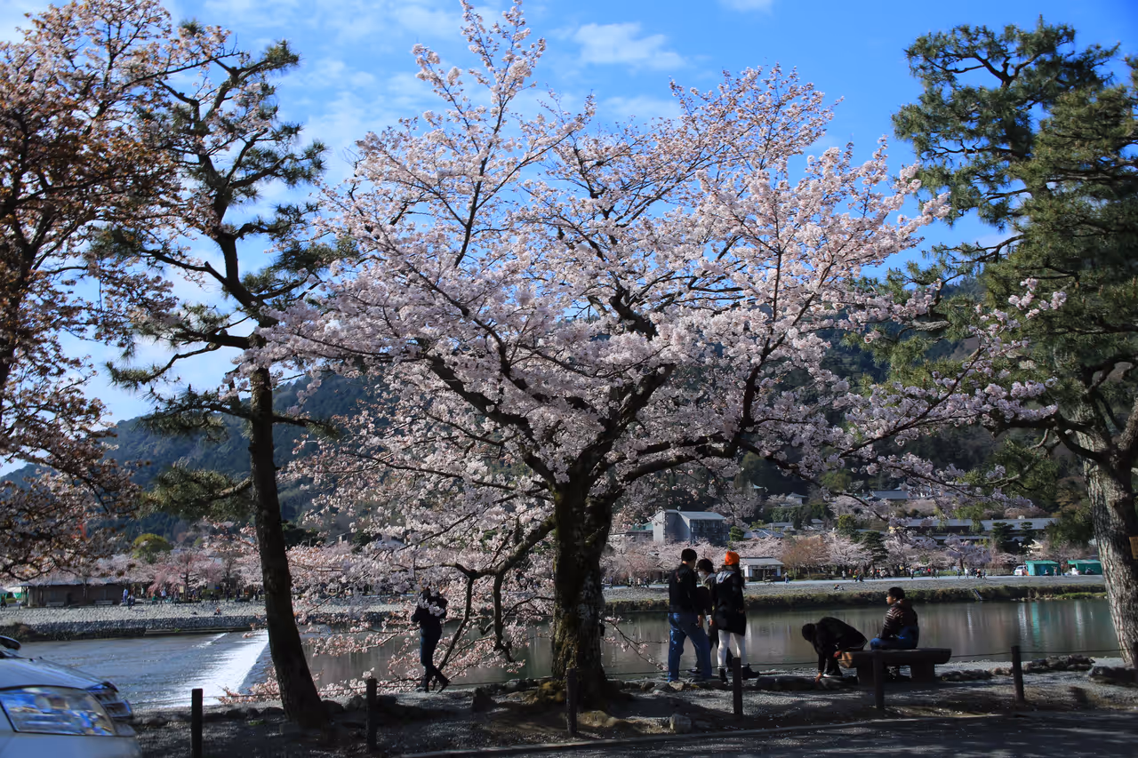 Discover the enchanting arashiyama district in Kyoto