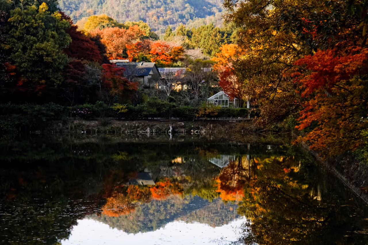 Discover the enchanting arashiyama district in Kyoto