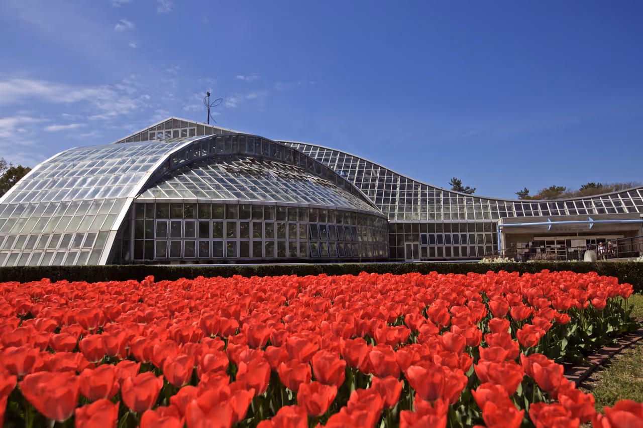 Botanical gardens in Kyoto