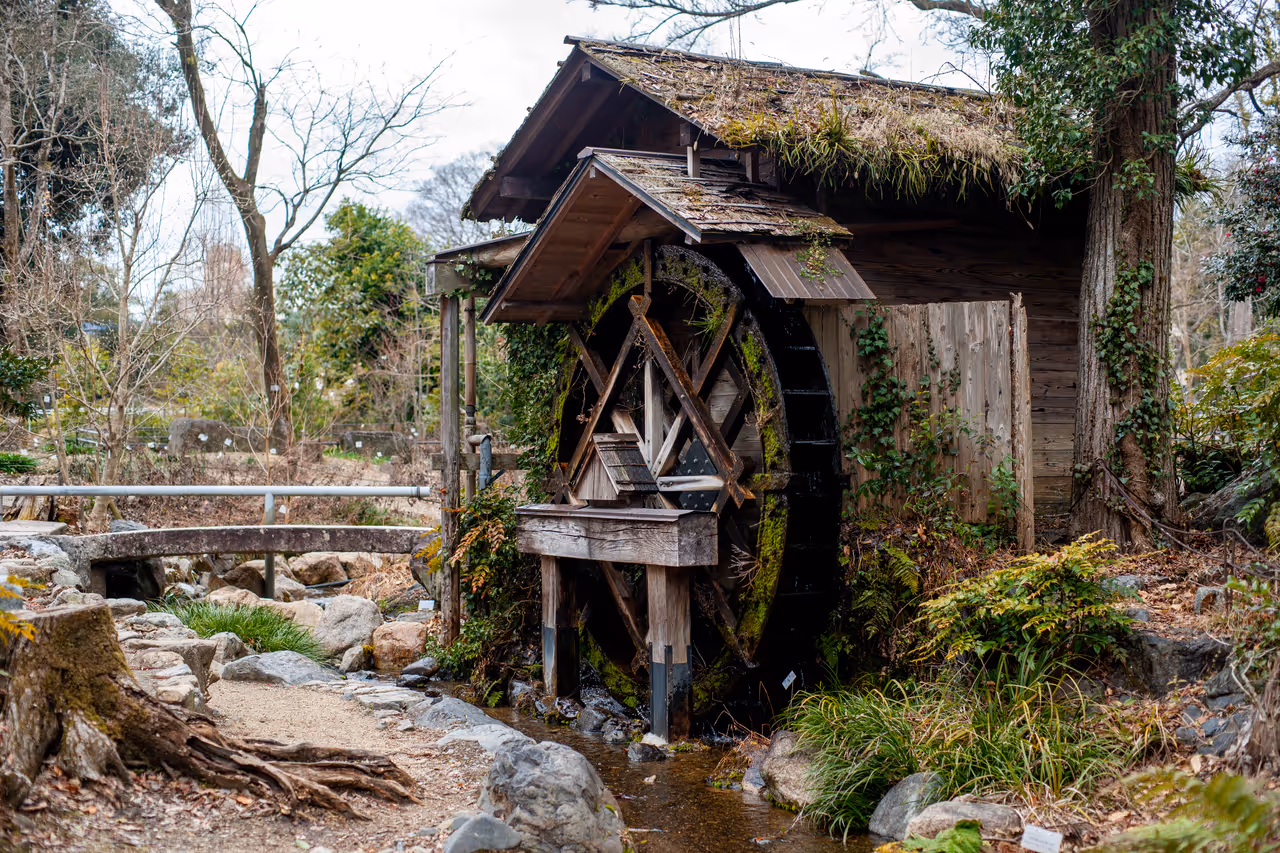 Botanical gardens in Kyoto