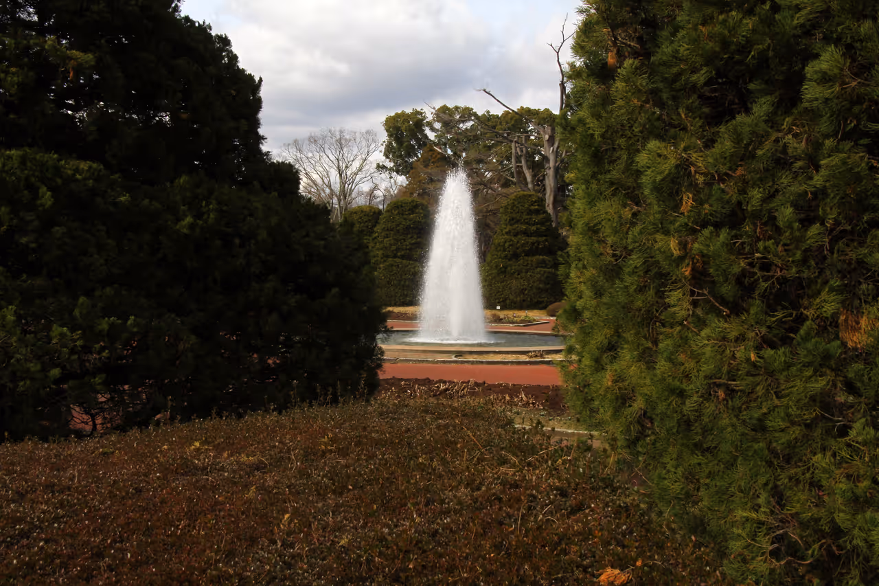 Botanical gardens in Kyoto
