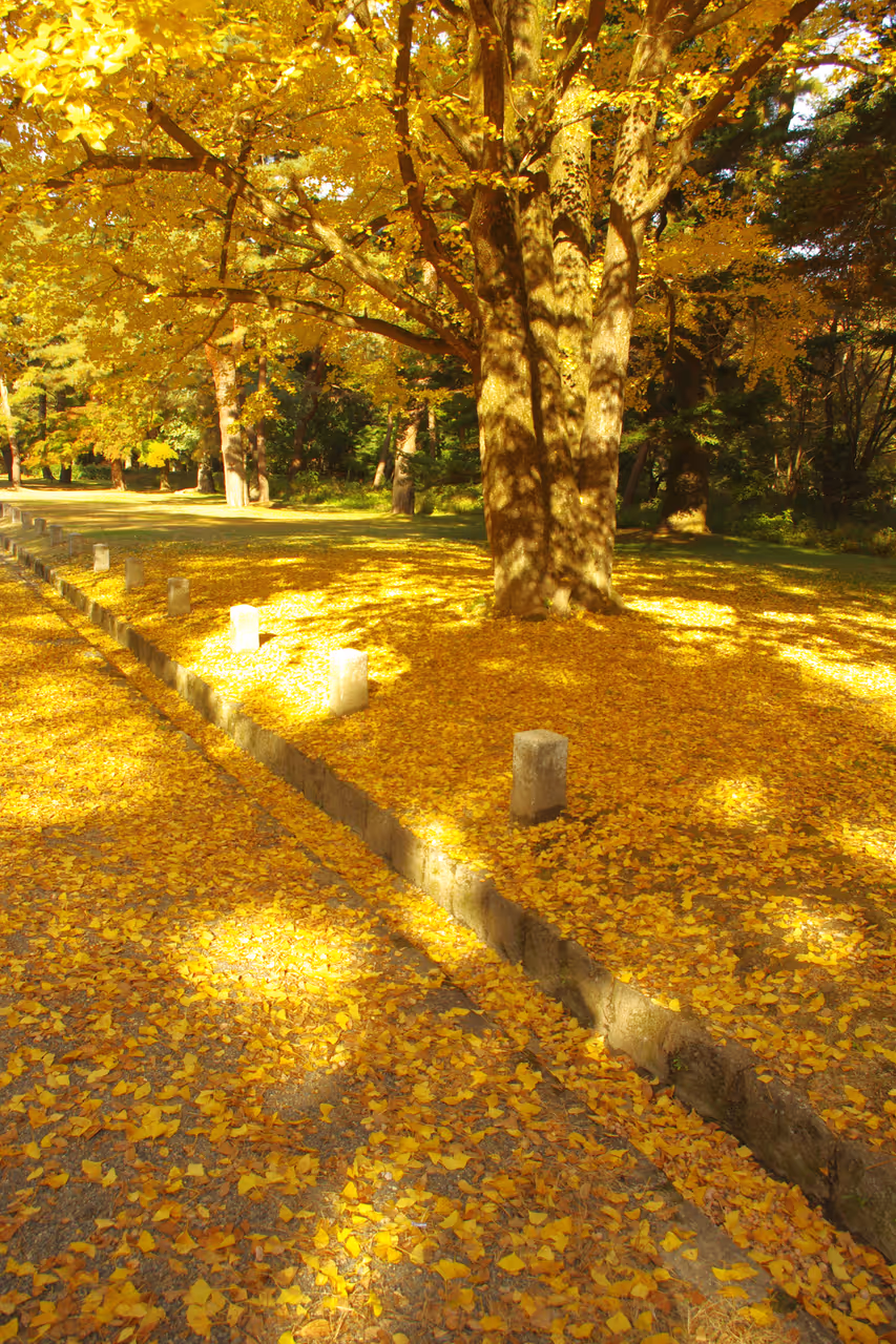 Gyoen national garden in Kyoto
