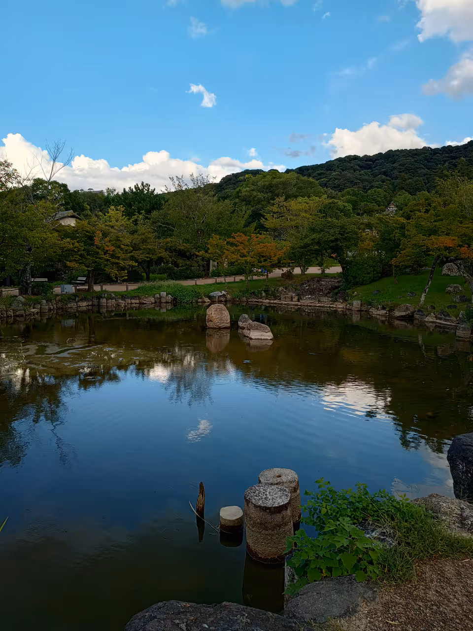 Maruyama park in Kyoto