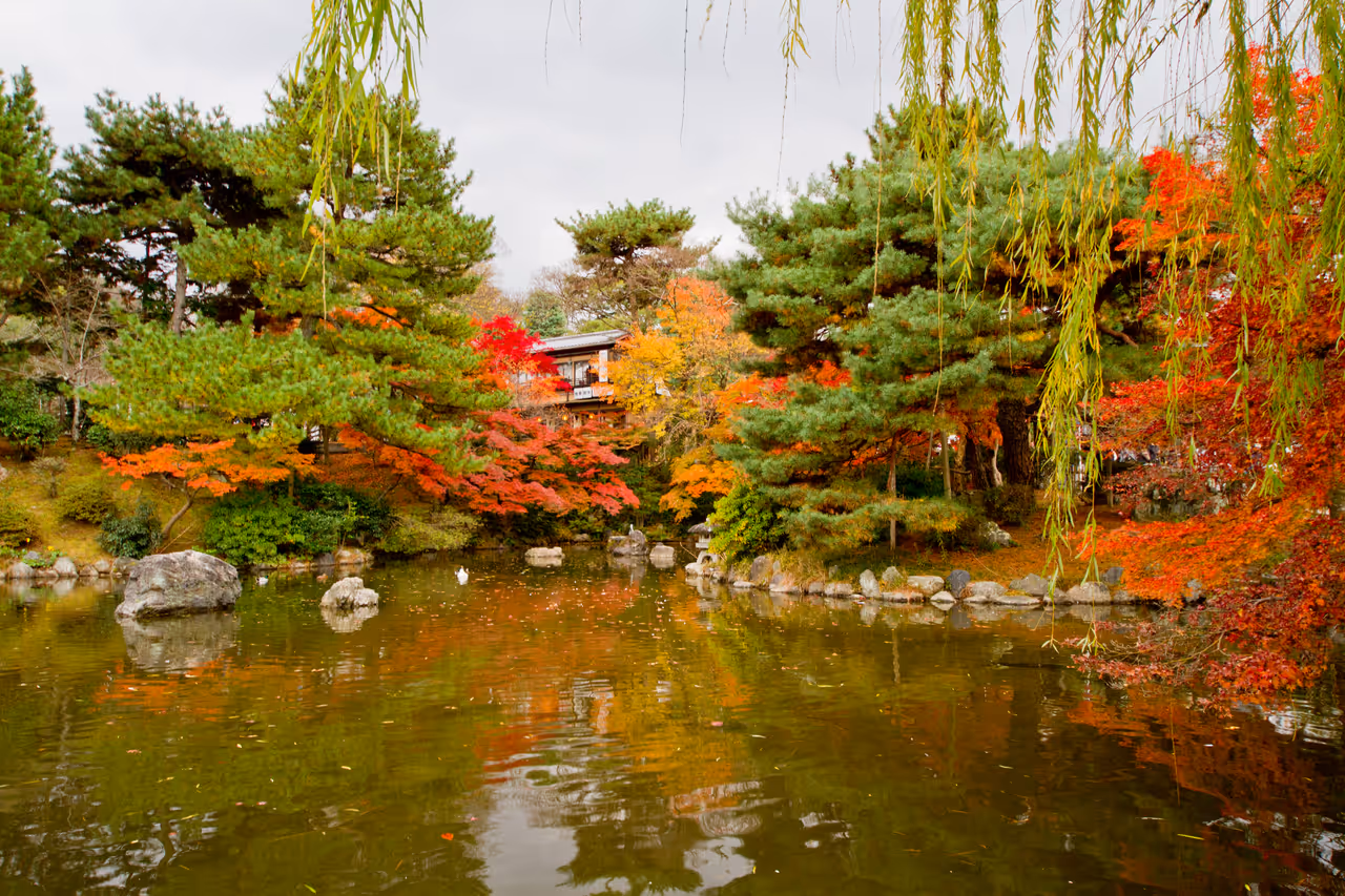 Maruyama park in Kyoto
