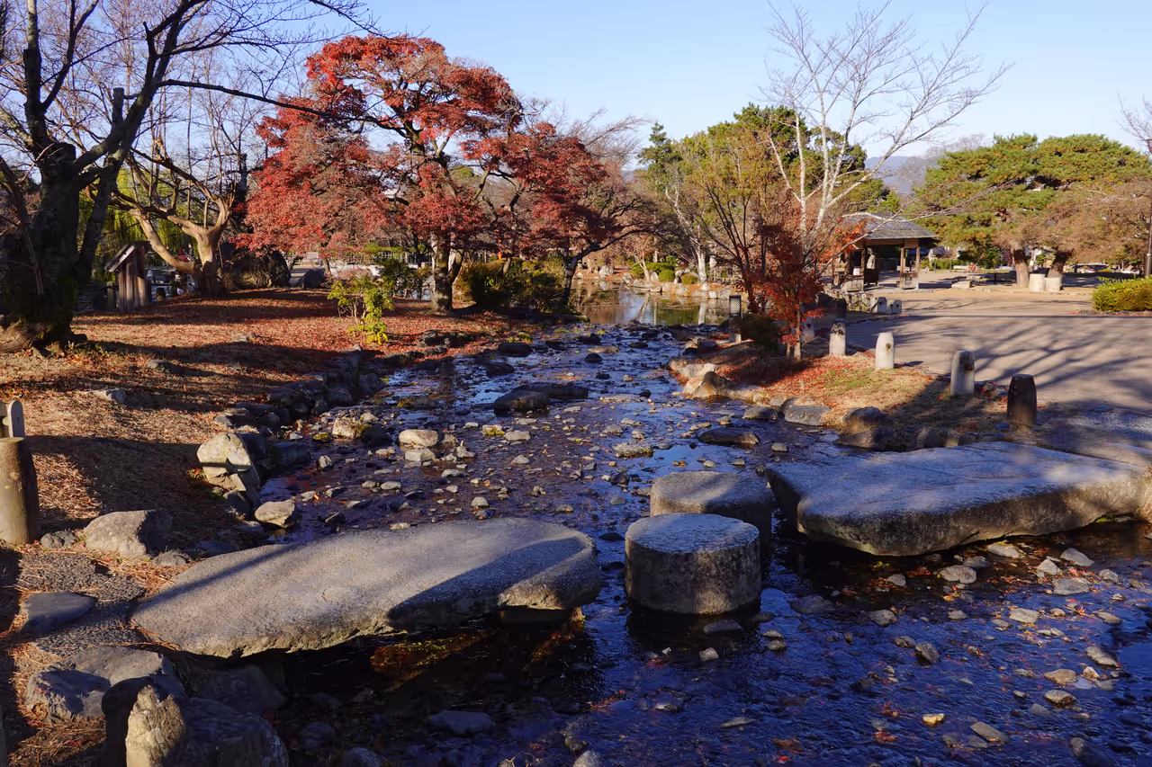 Maruyama park in Kyoto