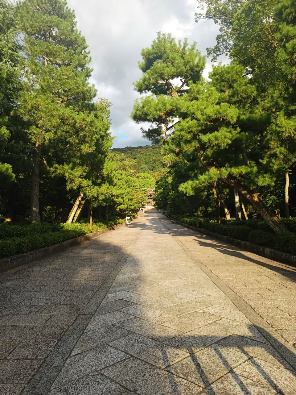Maruyama park in Kyoto