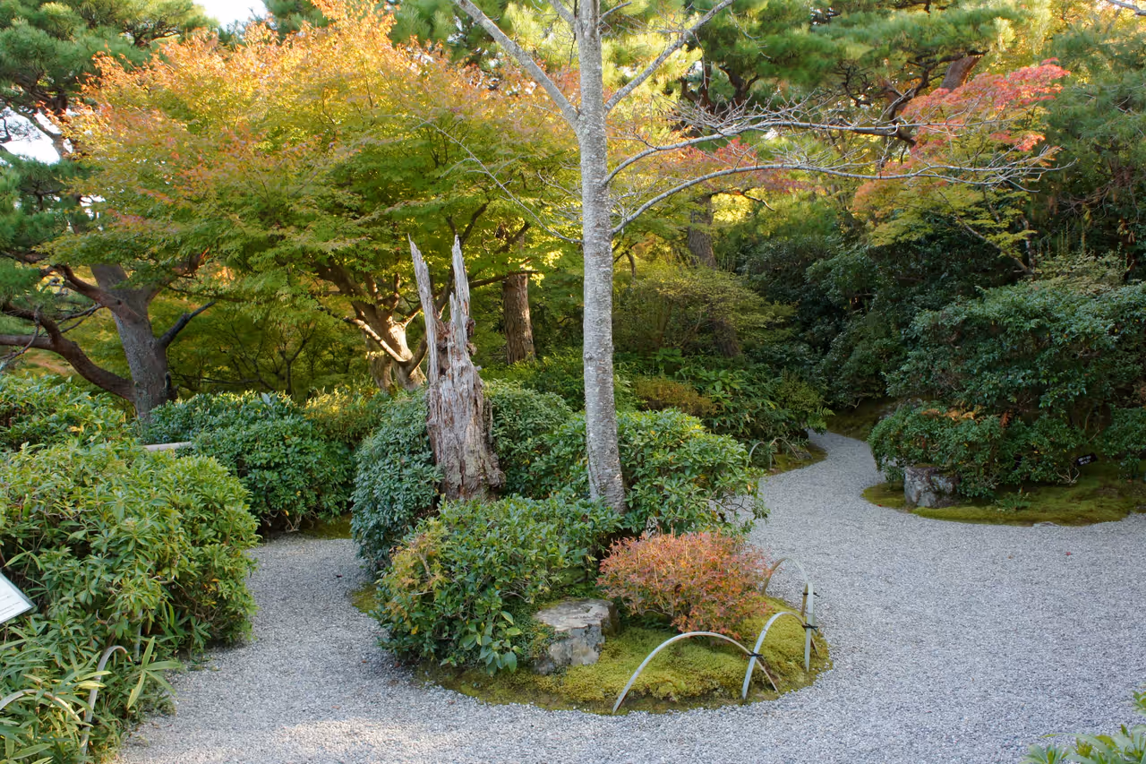 Ōkōchi sansō villa in Kyoto