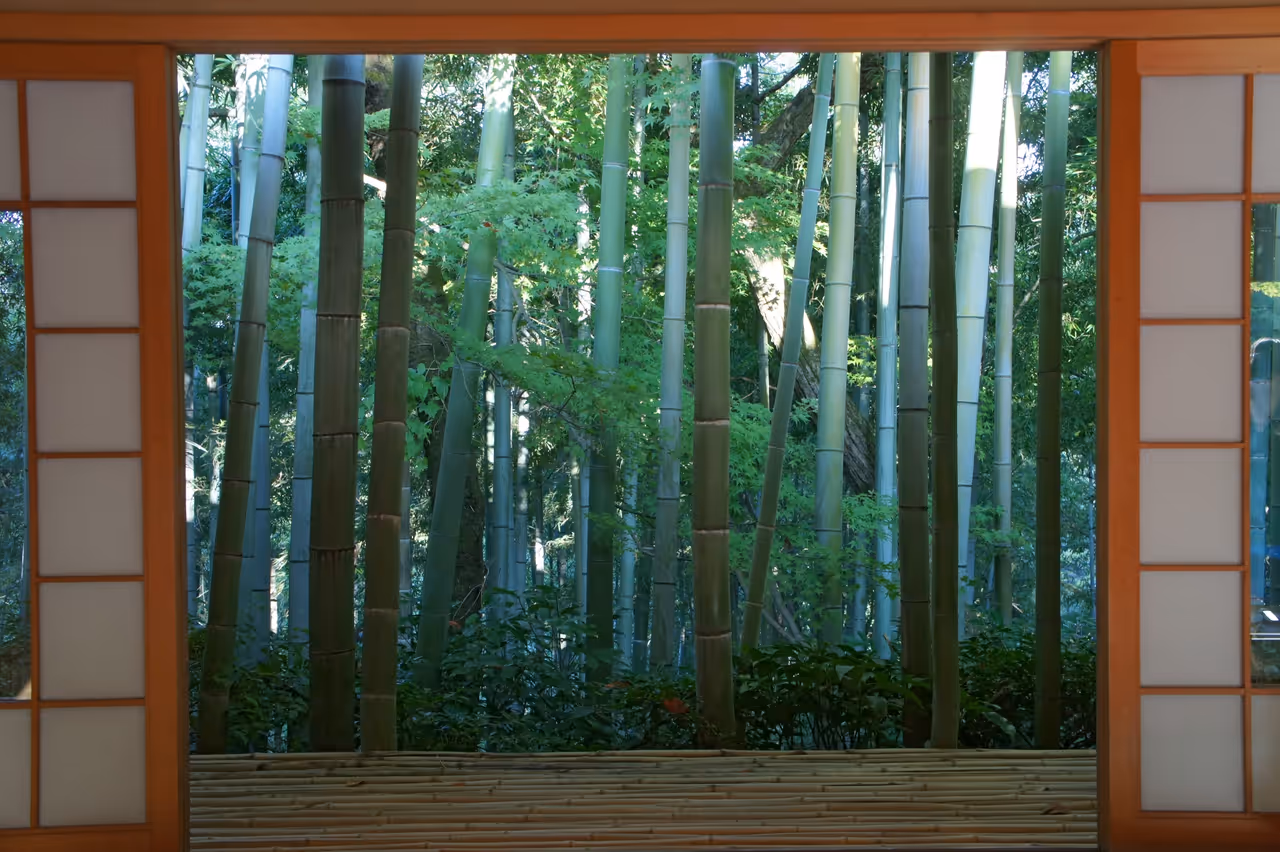 Ōkōchi sansō villa in Kyoto