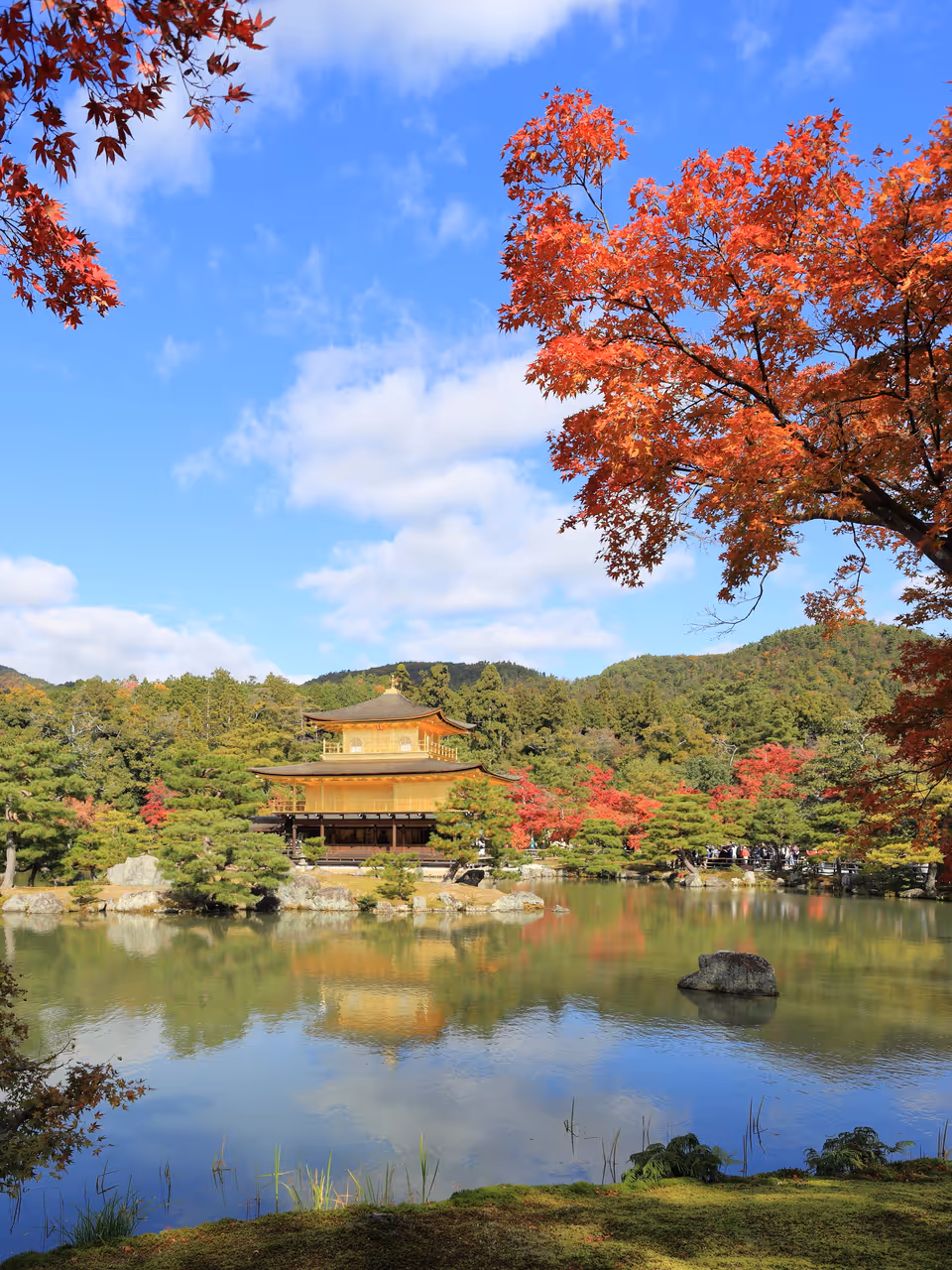 Autumn highlight in Kyoto