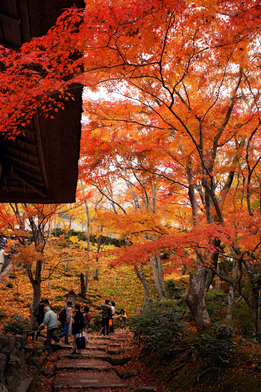 Autumn highlight in Kyoto