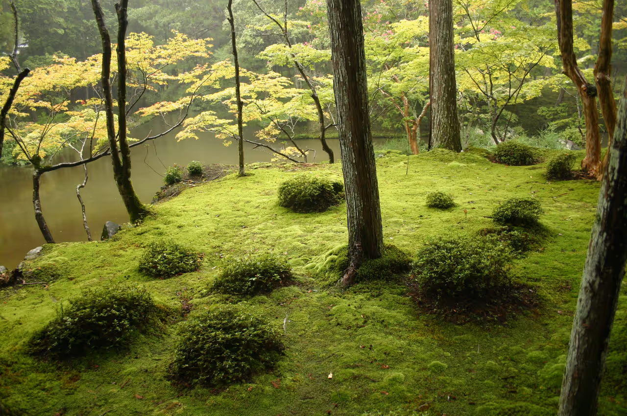 Summer highlight in Kyoto