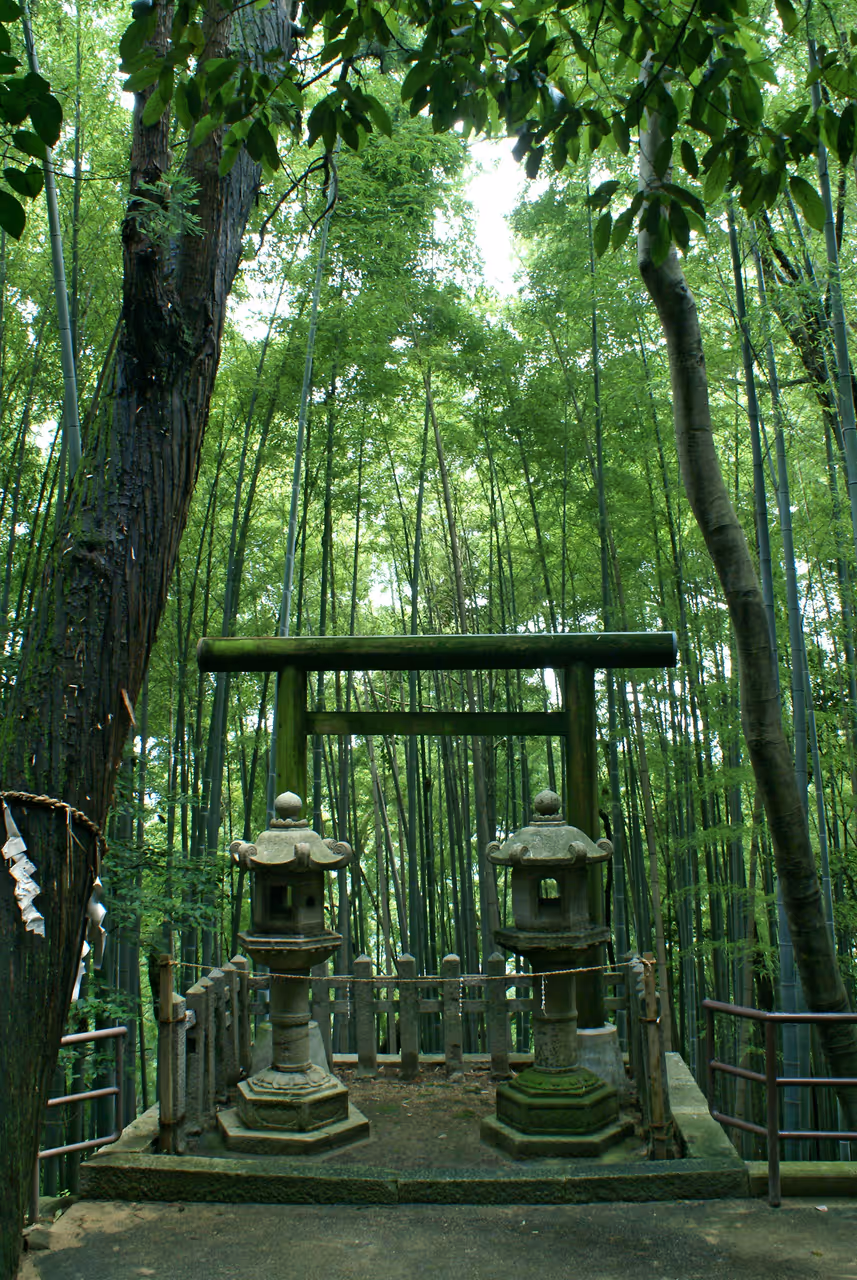 Summer highlight in Kyoto