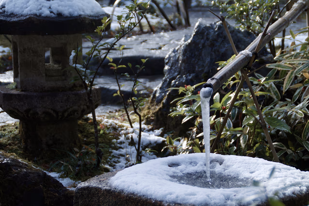 Winter highlight in Kyoto