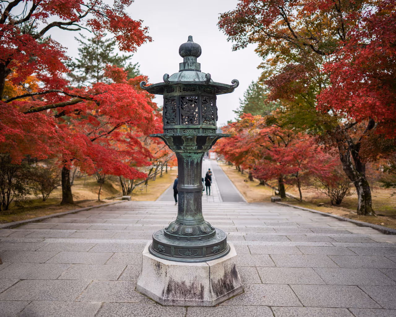 The zen garden discovery tour in Kyoto