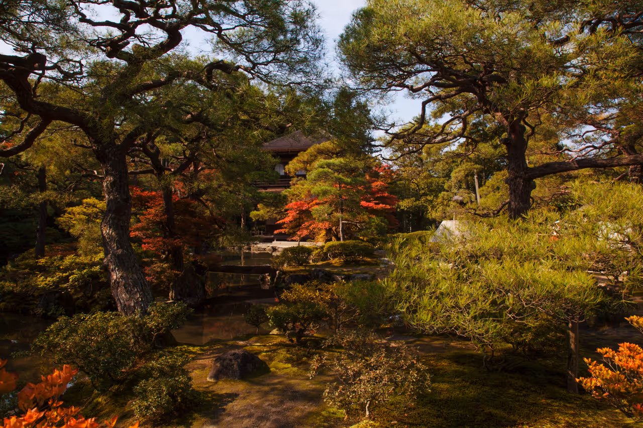 The Silver Pavilion lost in the trees around Kinkyo-chi pond