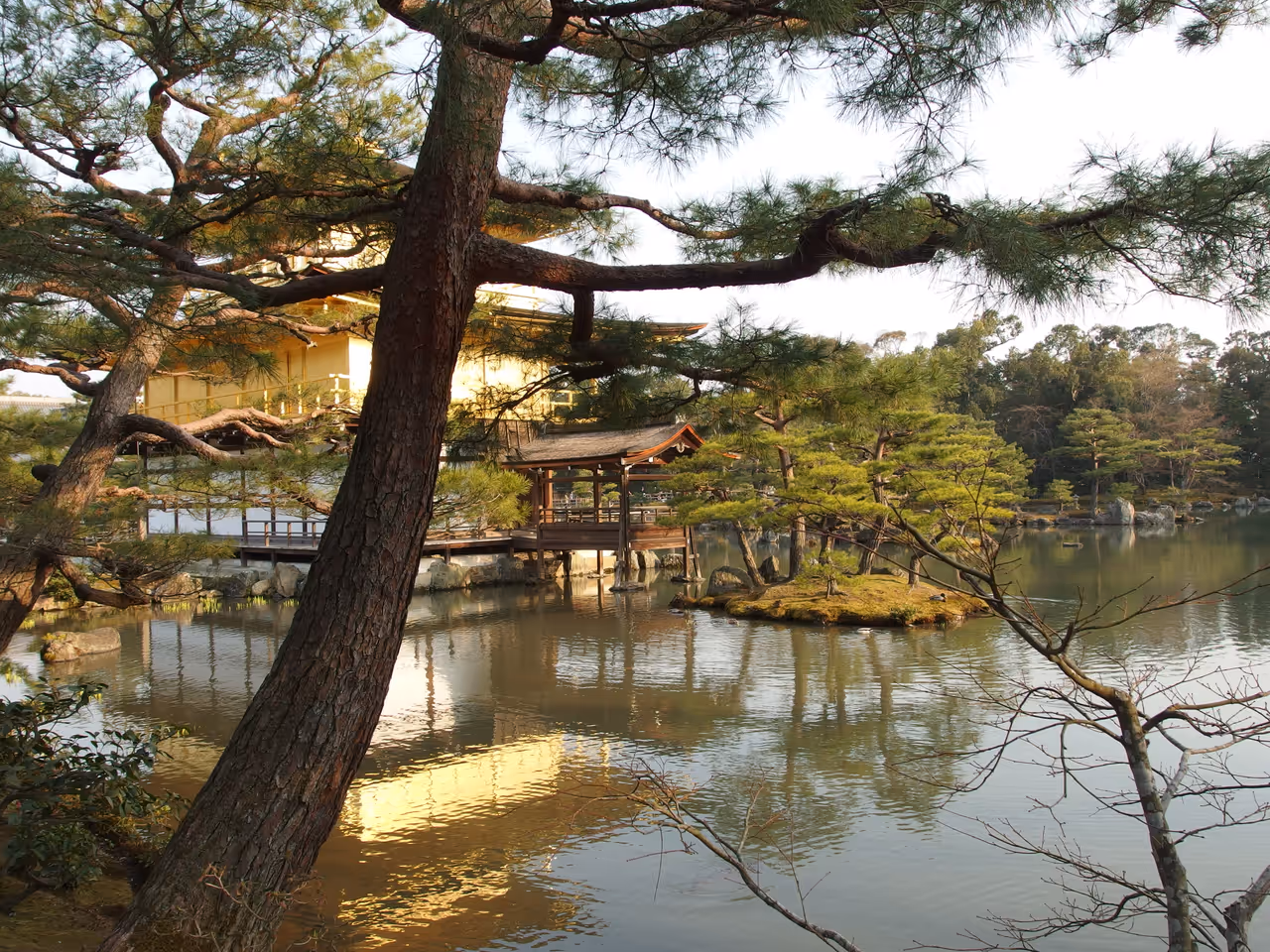 Kinkaku ji (the golden pavilion) in Kyoto