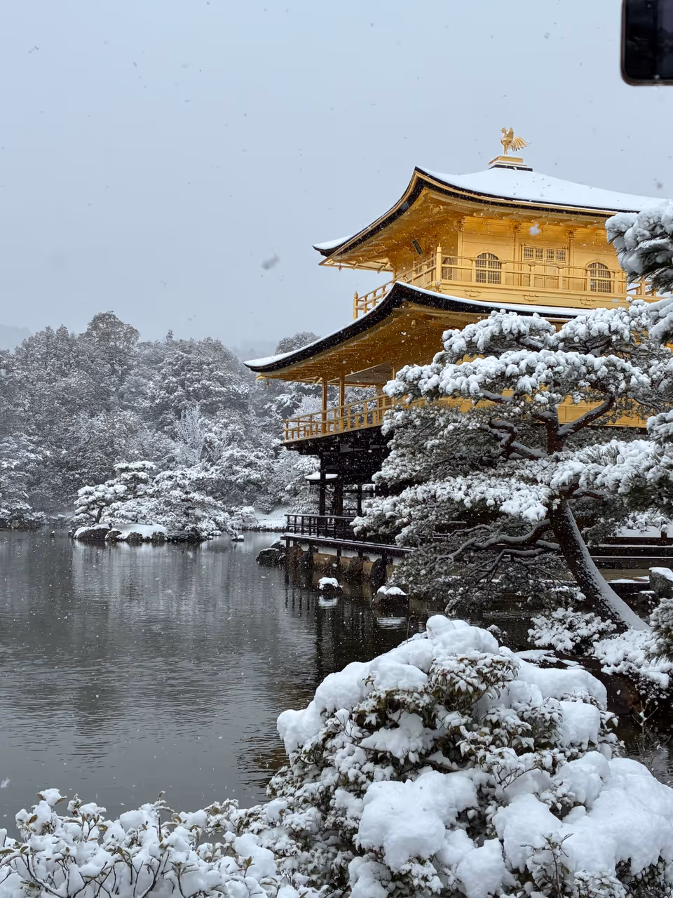 Kinkaku ji (the golden pavilion) in Kyoto