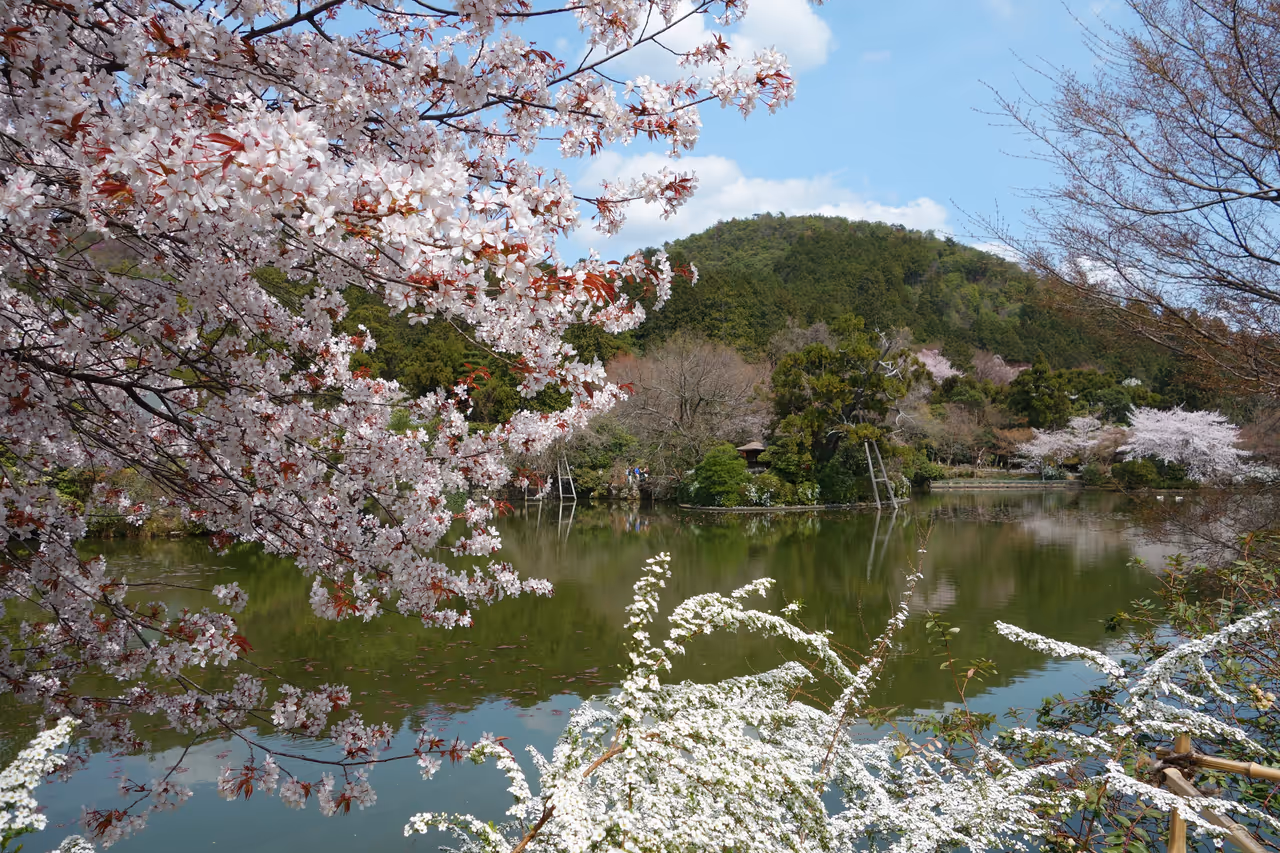Ryōanji temple in Kyoto