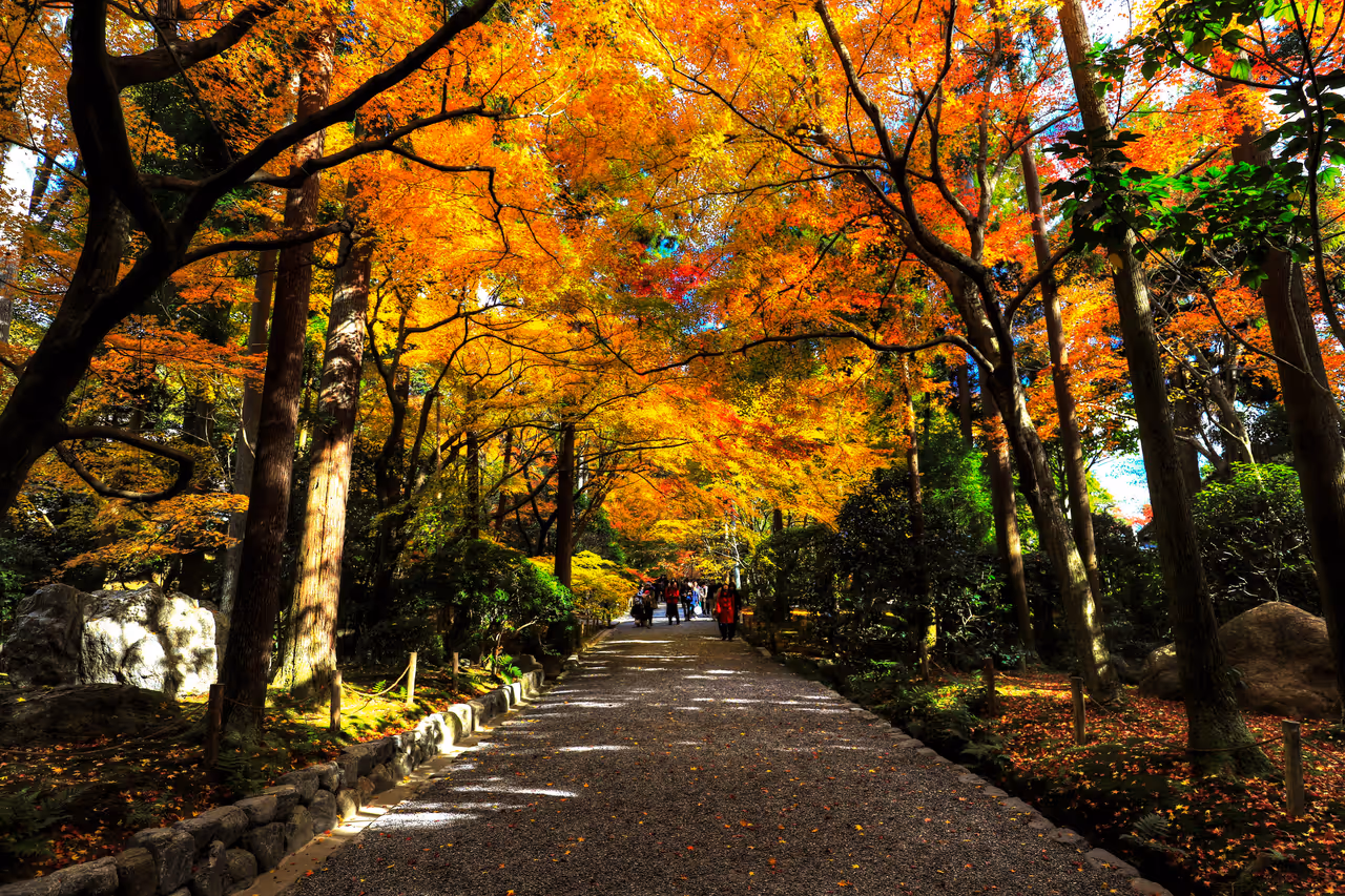 Ryōanji temple in Kyoto