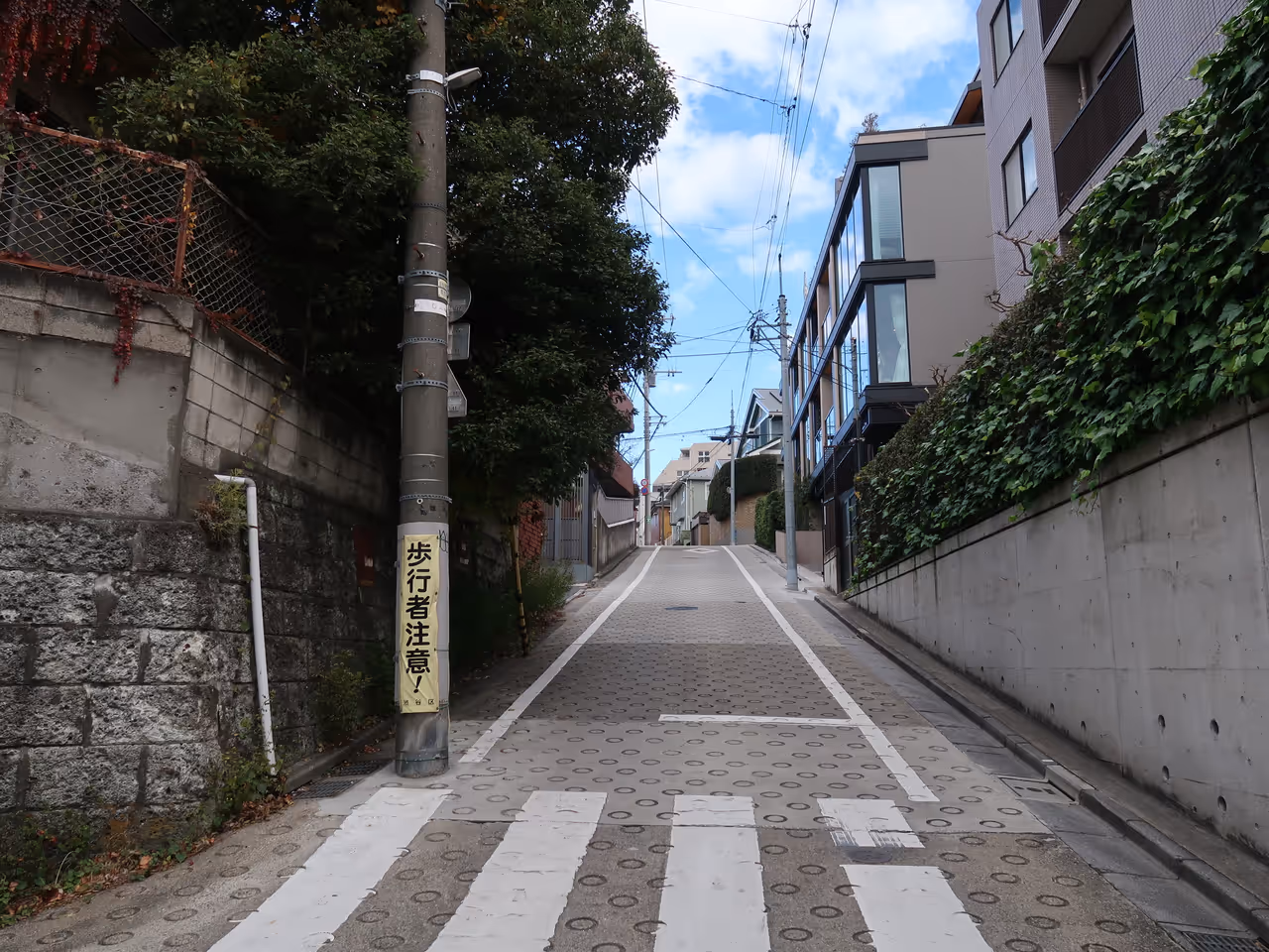 Cycling in yoyogi park in Tokyo