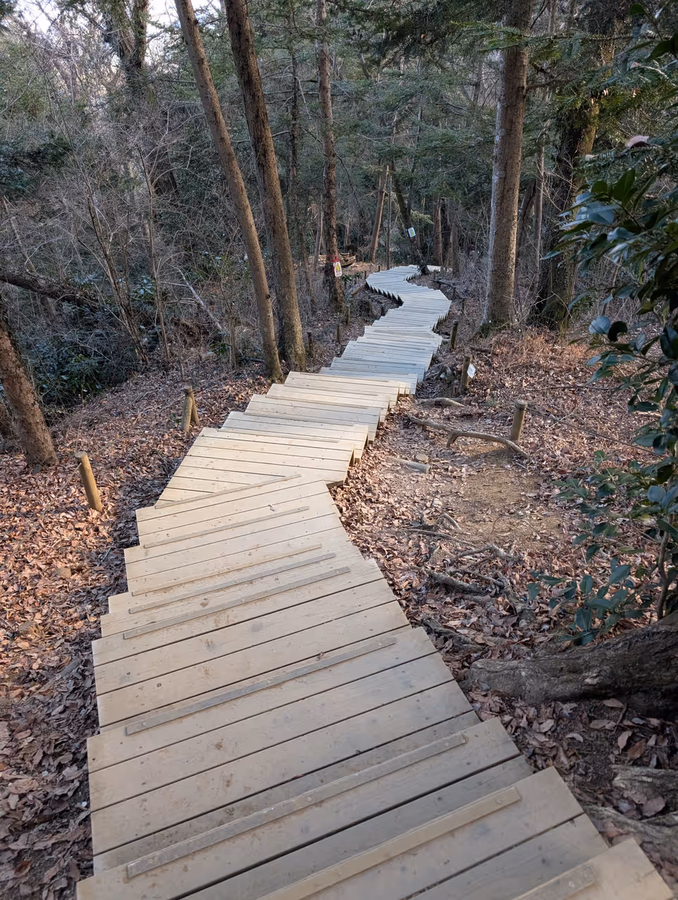 Hiking mount takao in Tokyo