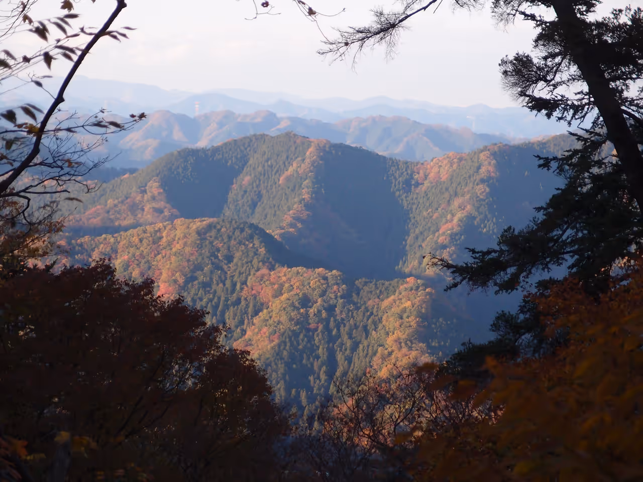 View from mount takao in Tokyo
