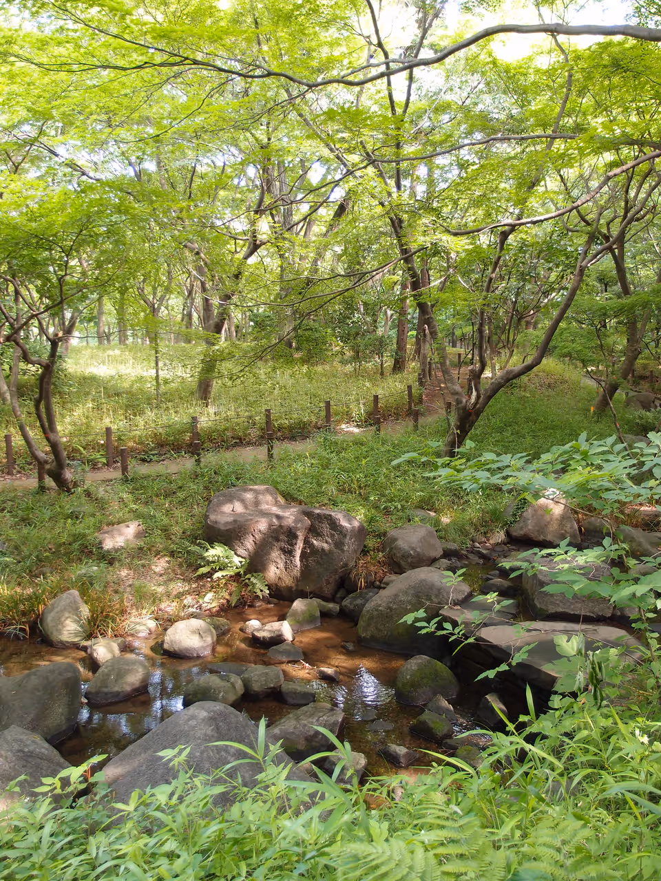 Gardens near the imperial palace in Tokyo