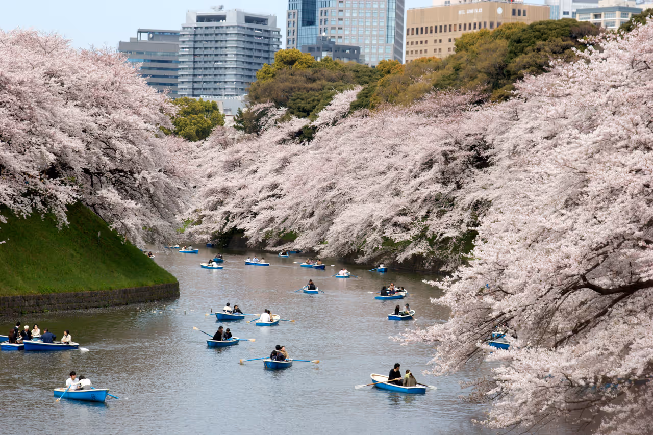 People on boats, Chidorigafuchi, Tokyo