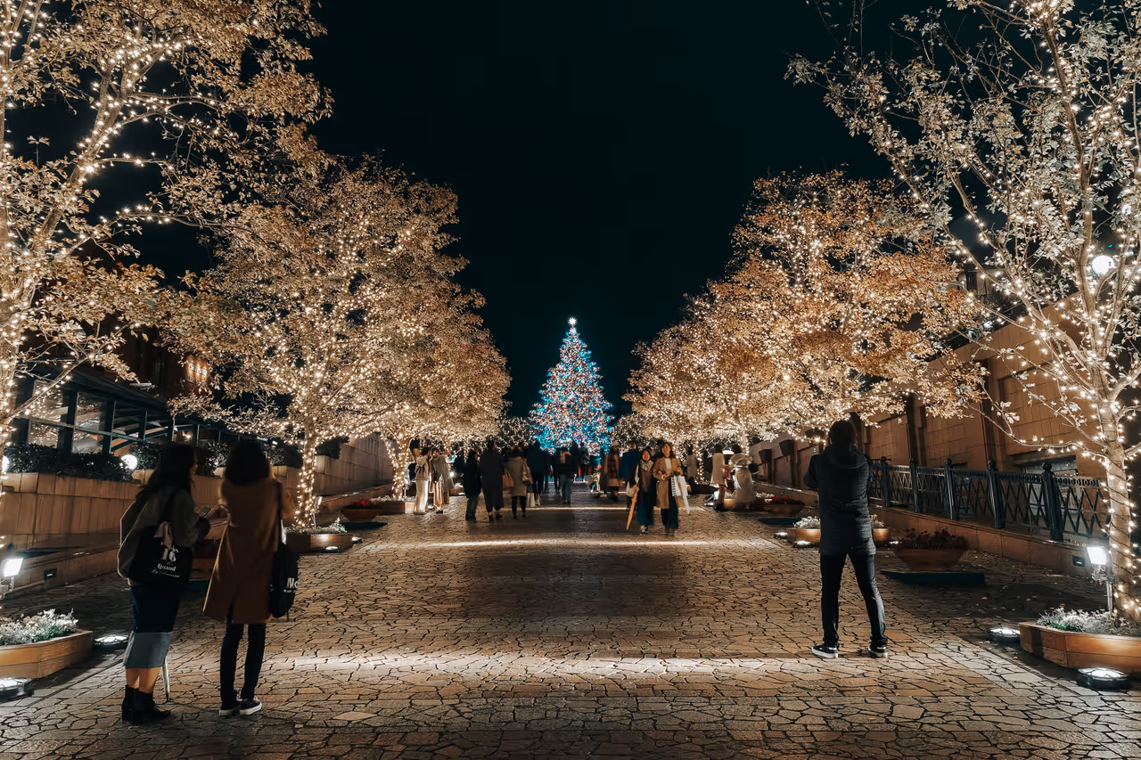 Path surrounded by light-lit trees at night