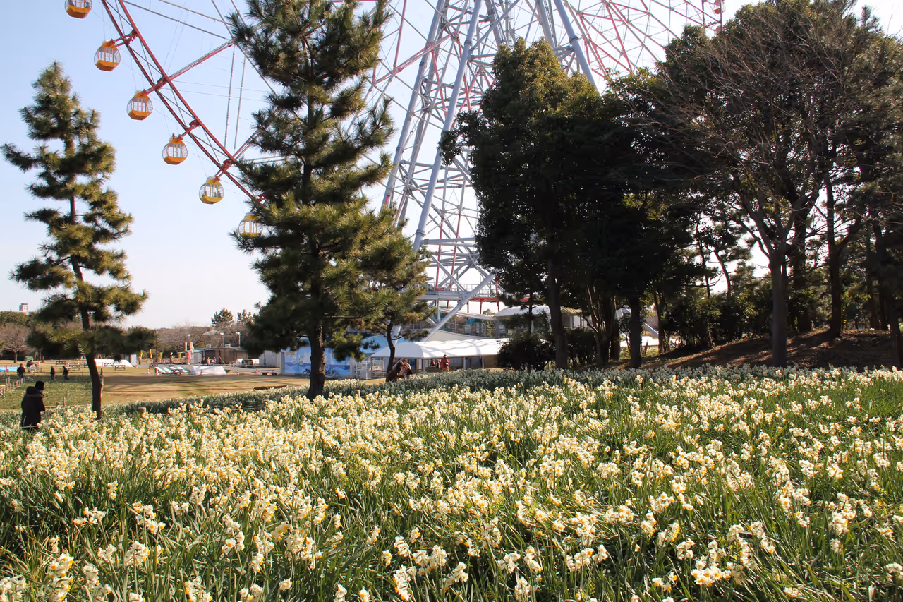 Arakawa river cycling road cycling in Tokyo