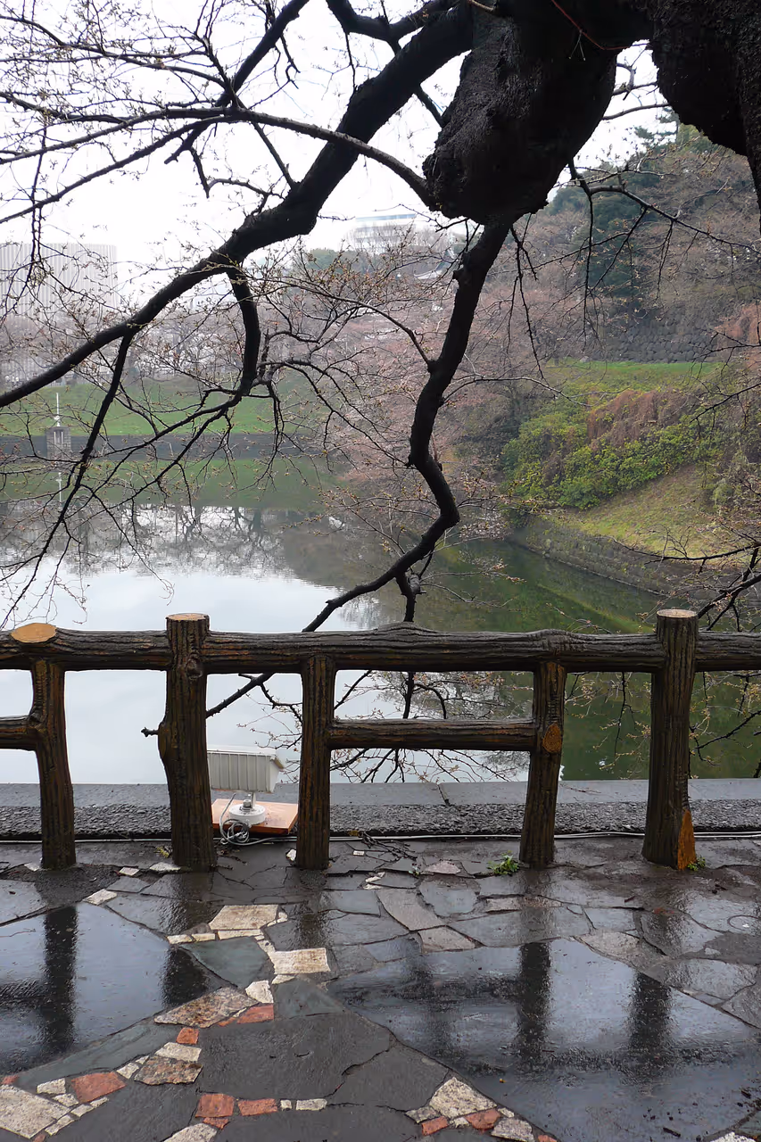 Imperial palace loop cycling in Tokyo