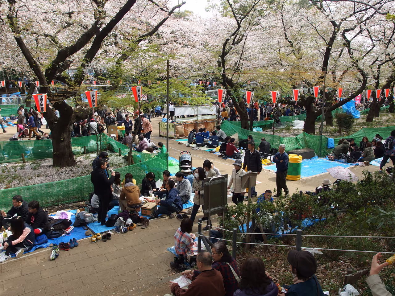 Ueno cherry blossom festival festival in Tokyo