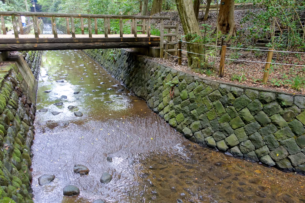 Todoroki valley in Tokyo