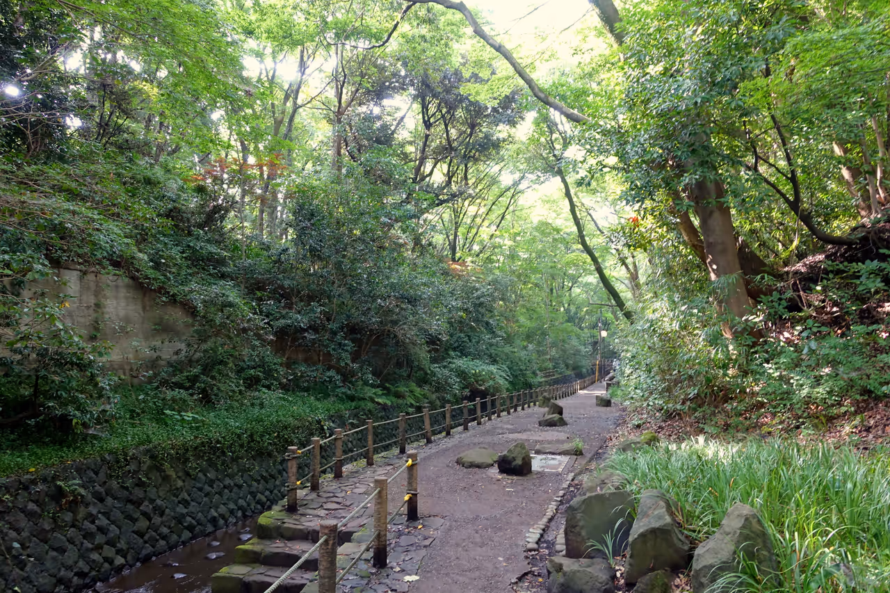 Todoroki valley in Tokyo