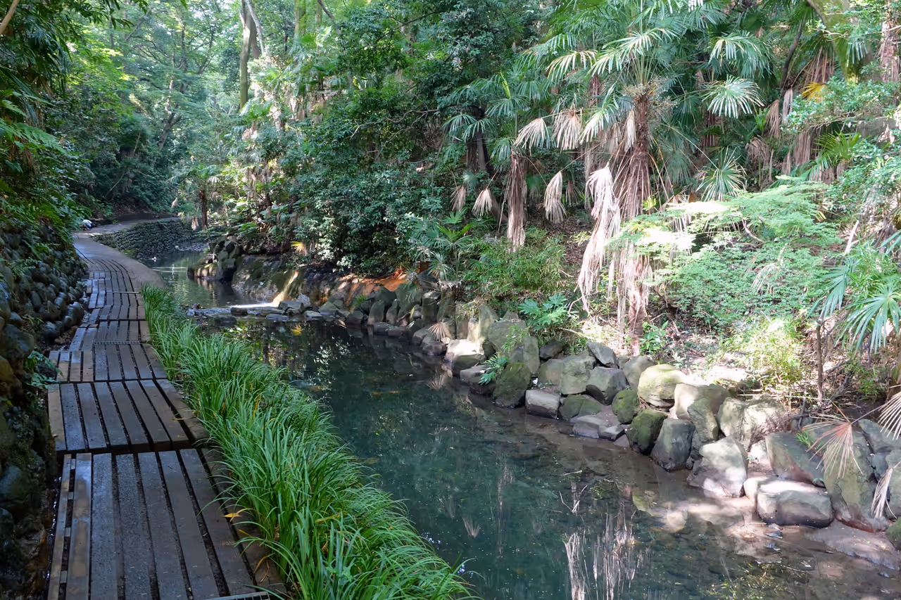 Todoroki valley in Tokyo