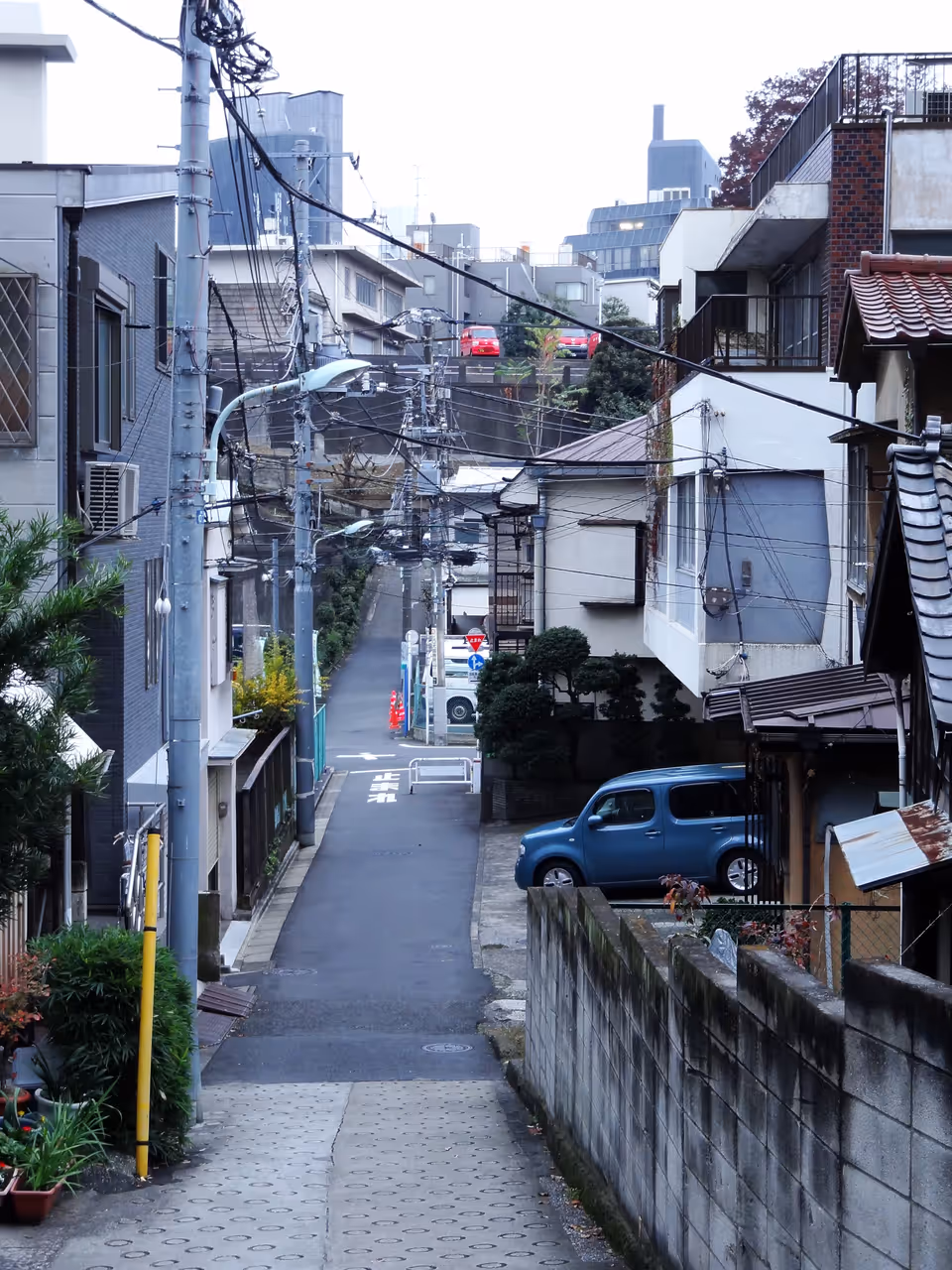Roppongi nightlife nightlife spot in Tokyo