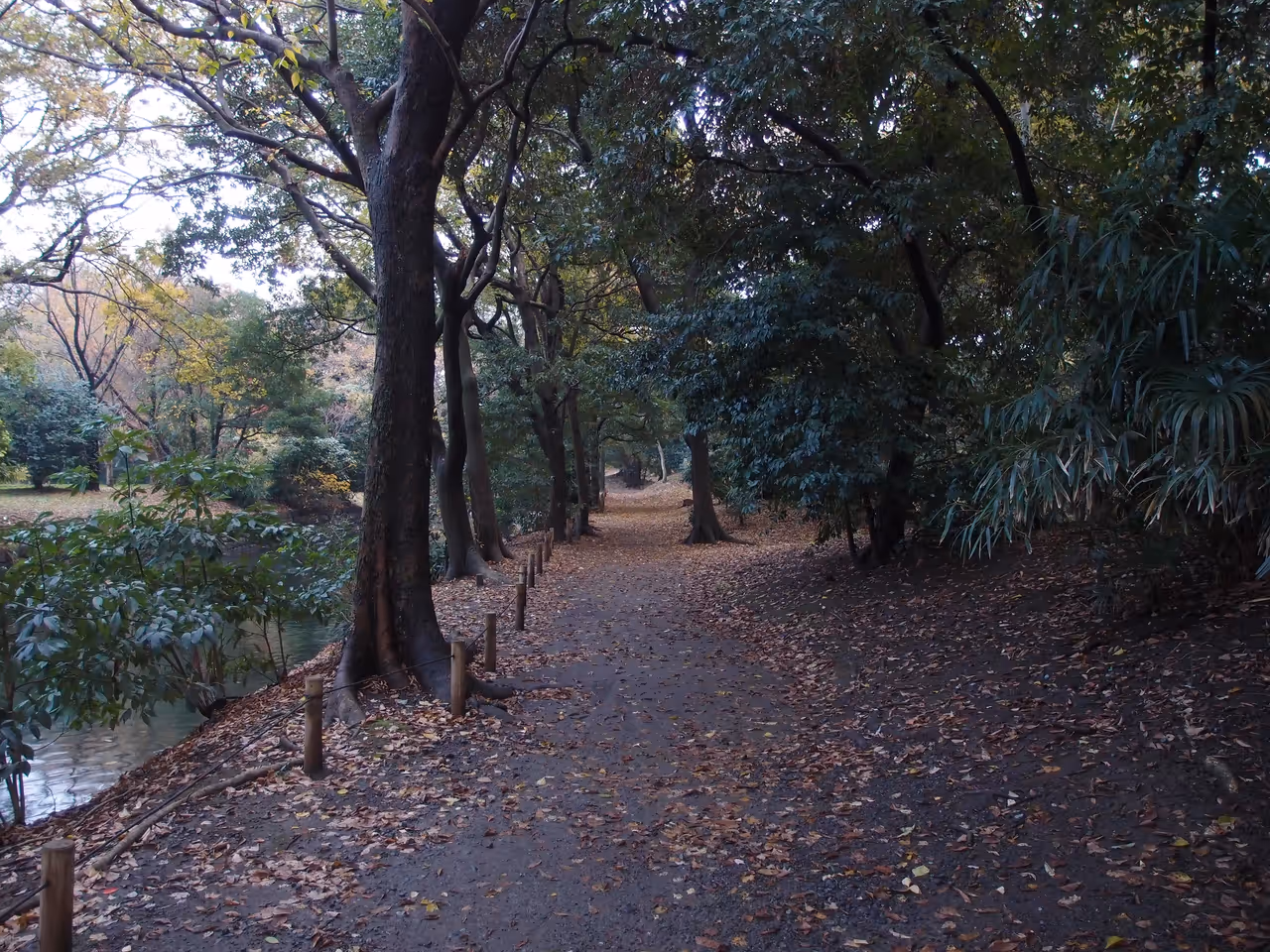 Hama-rikyu gardens in Tokyo