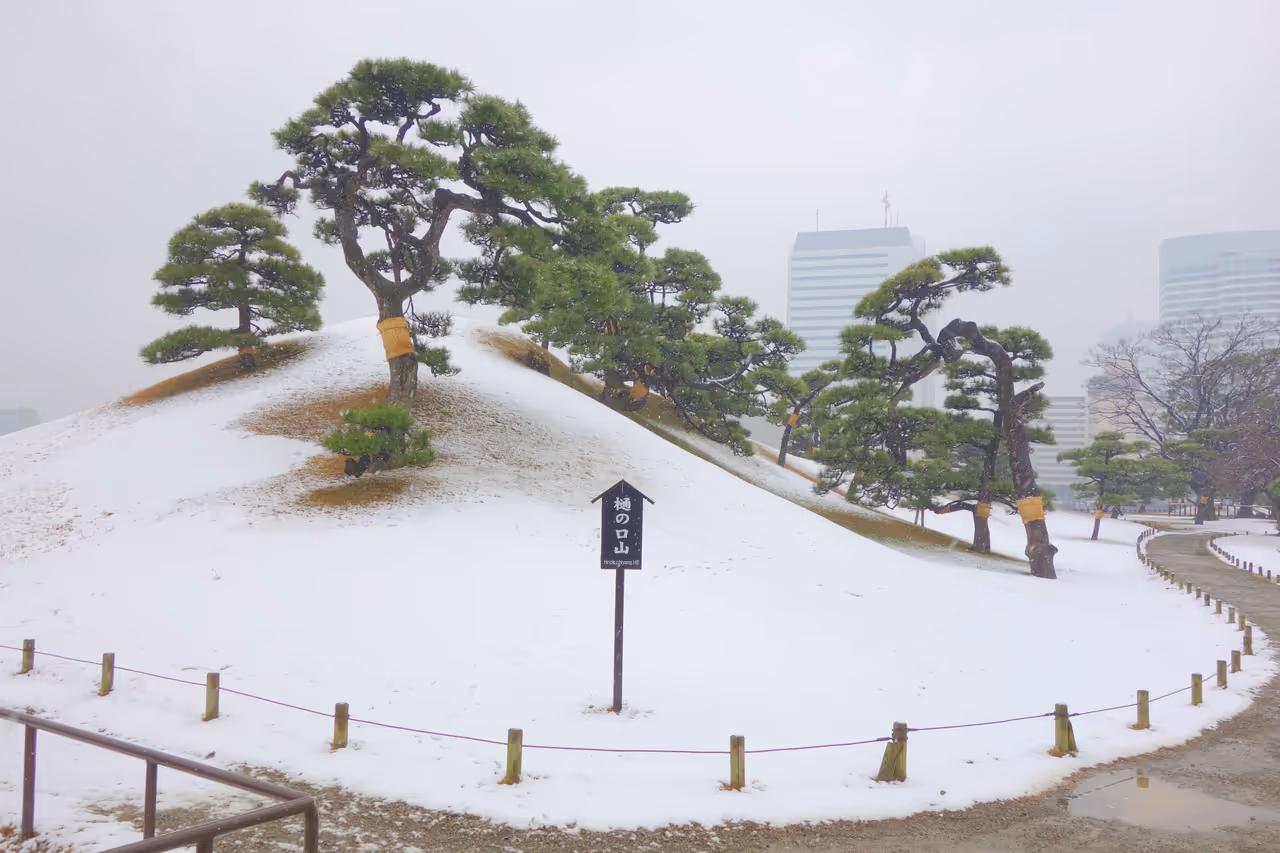 Hama-rikyu gardens in Tokyo