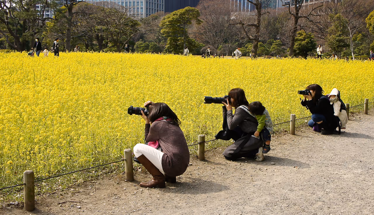 Hama-rikyu gardens in Tokyo