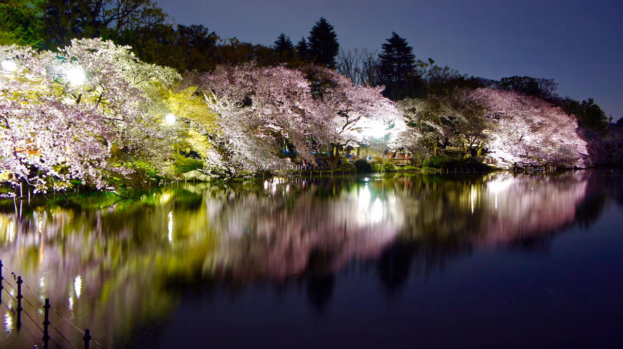 Inokashira park in Tokyo