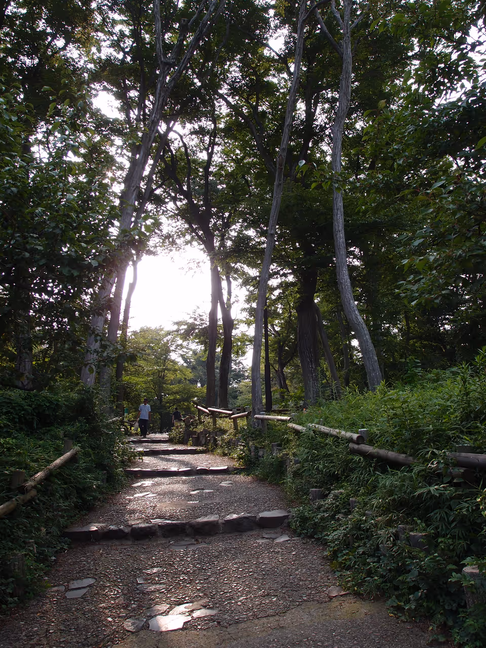 Inokashira park in Tokyo