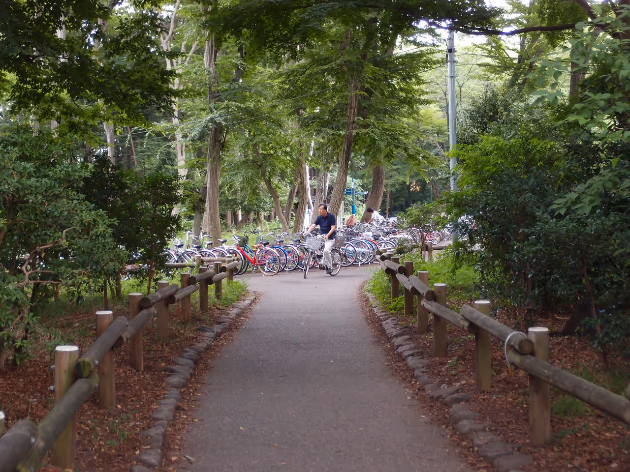 Inokashira park in Tokyo